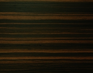 ModernWood Texture