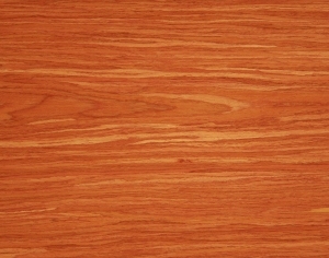 ModernWood Texture