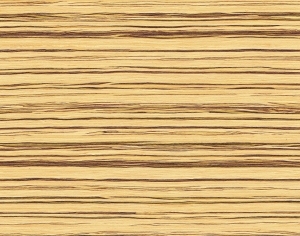 ModernWood Texture