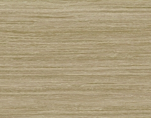 ModernWood Texture