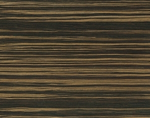 ModernWood Texture