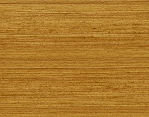 ModernWood Texture