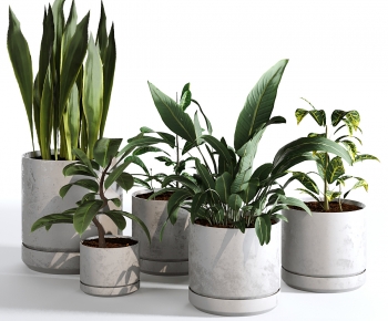 Modern Ground Green Plant Potted Plants-ID:834618095