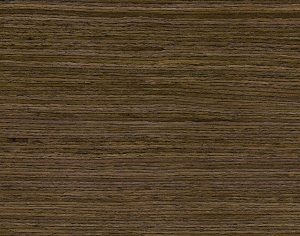 ModernWood Texture