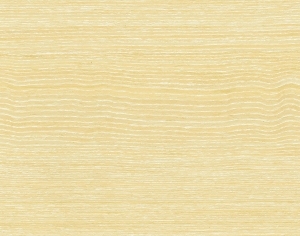 ModernWood Texture