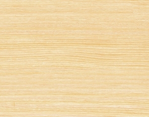 ModernWood Texture