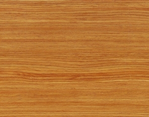 ModernWood Texture