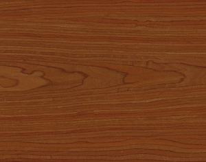 ModernWood Texture