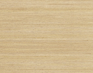 ModernWood Texture