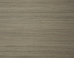 ModernWood Texture