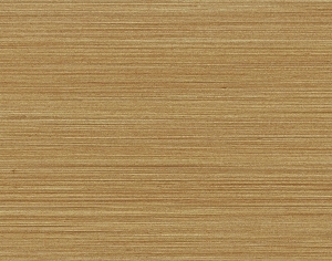 ModernWood Texture