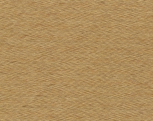 ModernWood Texture