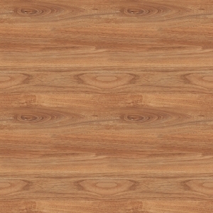 ModernWood Texture