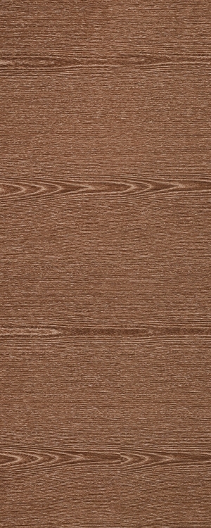 ModernWood Texture