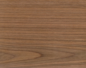 ModernWood Texture