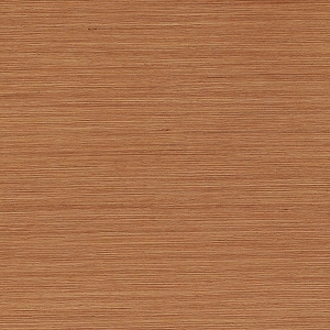 ModernWood Texture