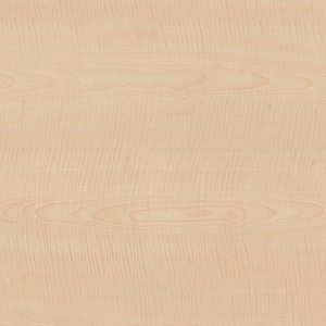 ModernWood Texture