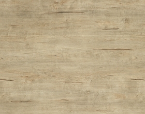 ModernWood Texture