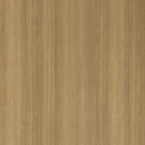 ModernWood Texture