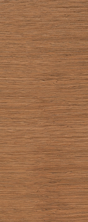 ModernWood Texture