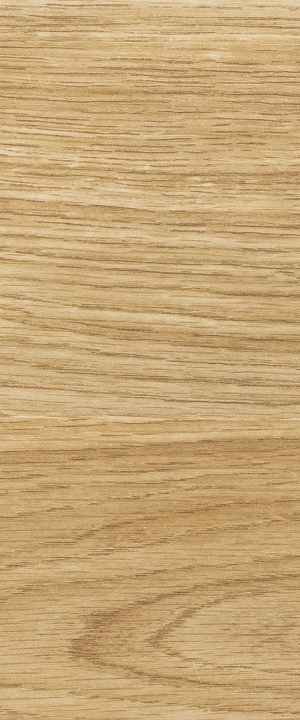 ModernWood Texture