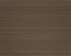 ModernWood Texture