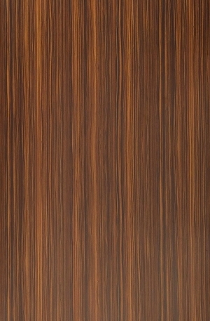 ModernWood Texture