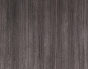 ModernWood Texture