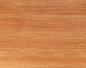 ModernWood Texture