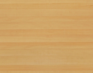 ModernWood Texture