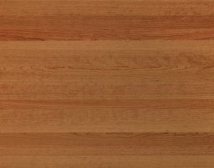 ModernWood Texture