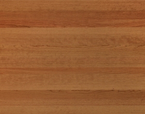 ModernWood Texture