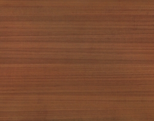 ModernWood Texture