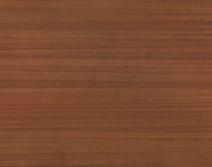 ModernWood Texture