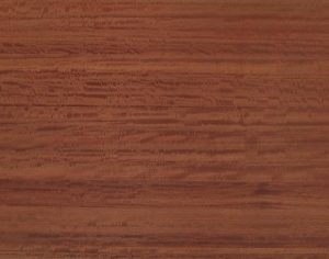 ModernWood Texture