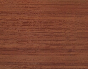 ModernWood Texture