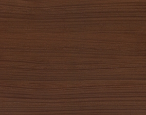 ModernWood Texture