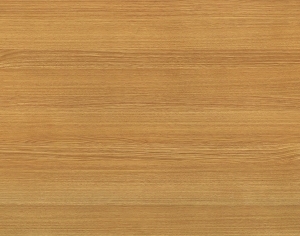 ModernWood Texture