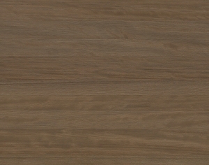 ModernWood Texture