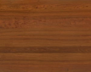 ModernWood Texture