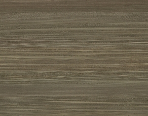 ModernWood Texture