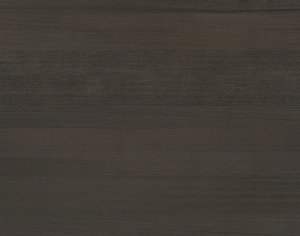 ModernWood Texture