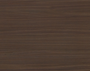 ModernWood Texture