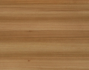 ModernWood Texture