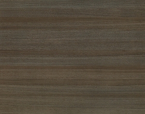 ModernWood Texture