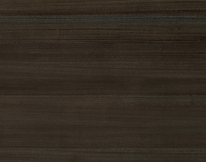 ModernWood Texture