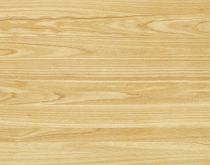 ModernWood Texture