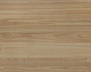 ModernWood Texture