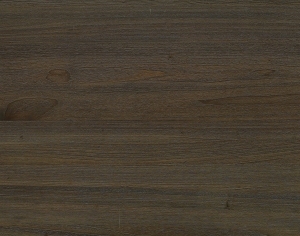 ModernWood Texture