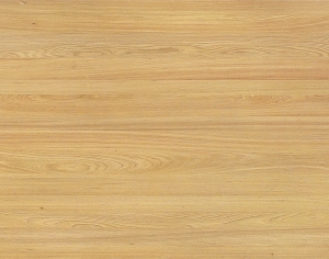 ModernWood Texture